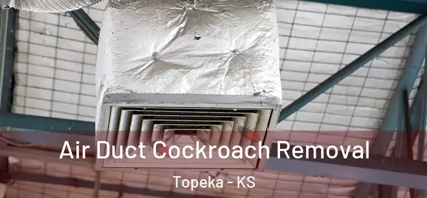 Air Duct Cockroach Removal Topeka - KS
