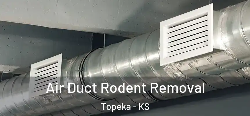  Air Duct Rodent Removal Topeka - KS