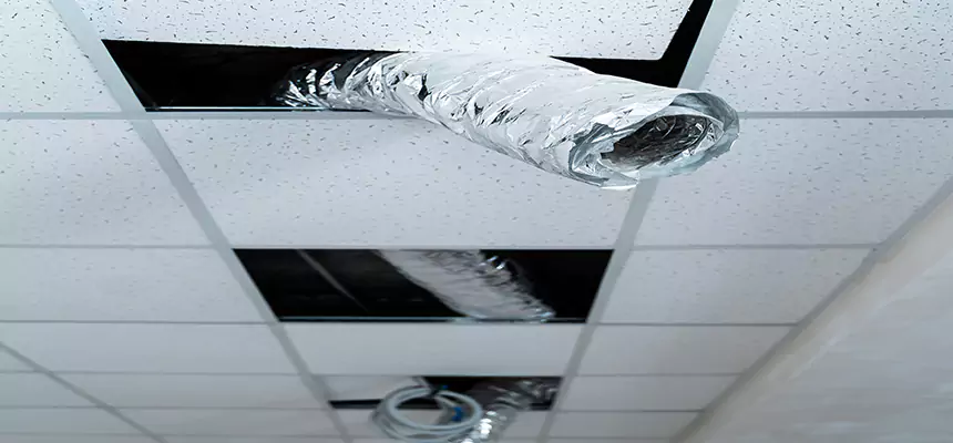 Our Air Duct Pet Hair Removal Services in Topeka, KS