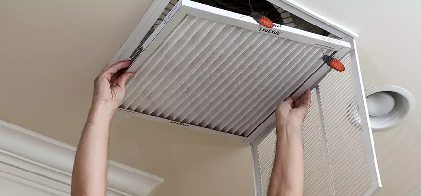 Our Insect Removal from Air Ducts Services in Topeka, KS