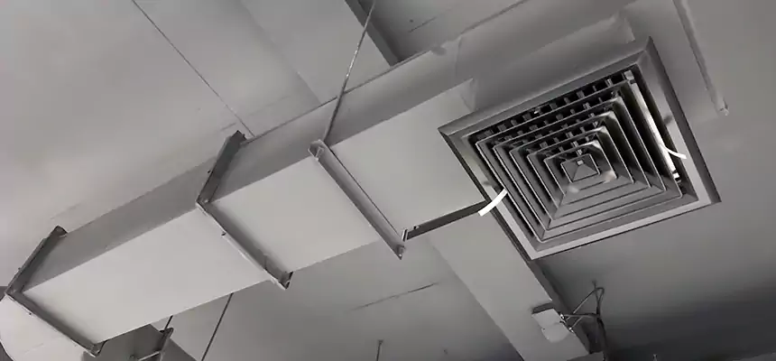 Our Pest Removal From Ducts Services in Topeka, KS