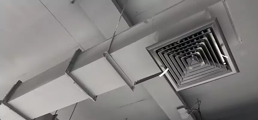 Our Rodent Droppings In Vents Services in Topeka, KS