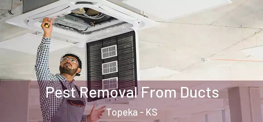 Pest Removal From Ducts Topeka - KS