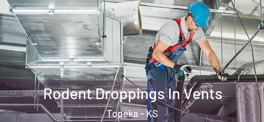 Rodent Droppings In Vents Topeka - KS