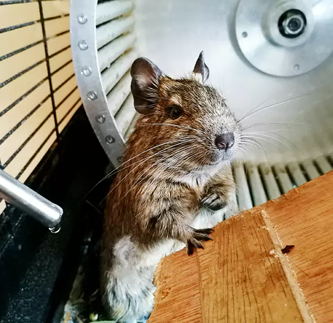 Why Homeowners & Businesses Trust Us Topeka, KS